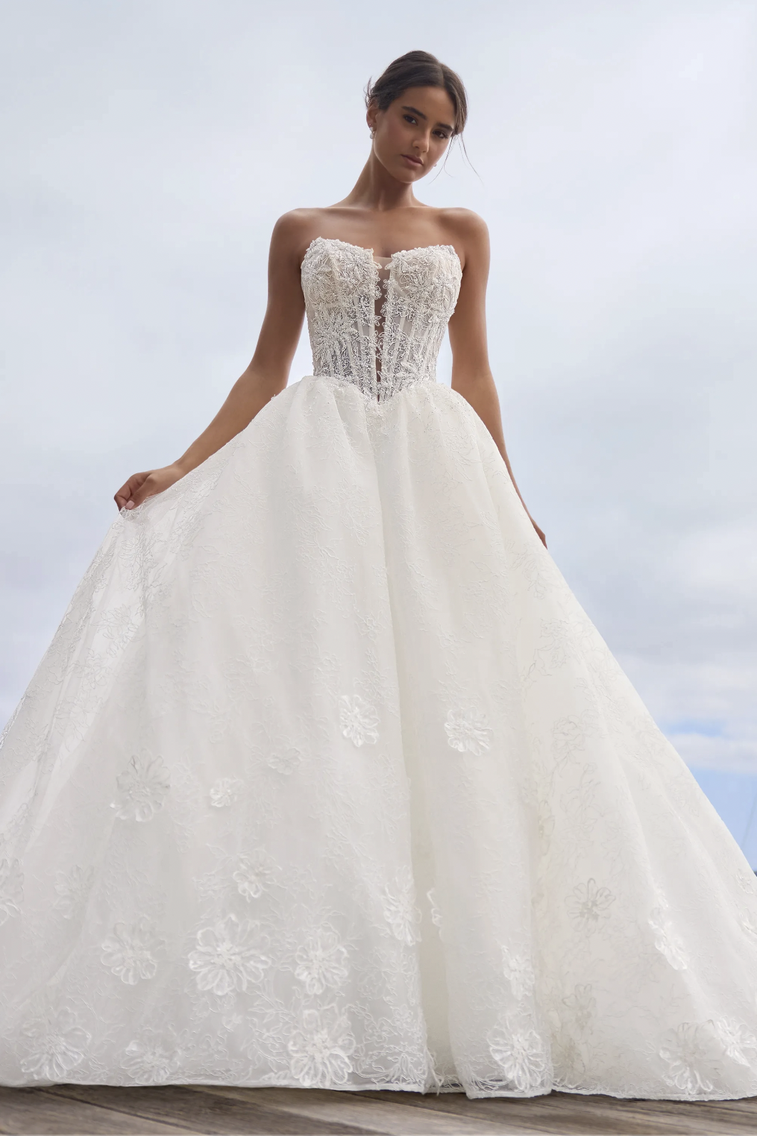 SOPHIA TOLLI