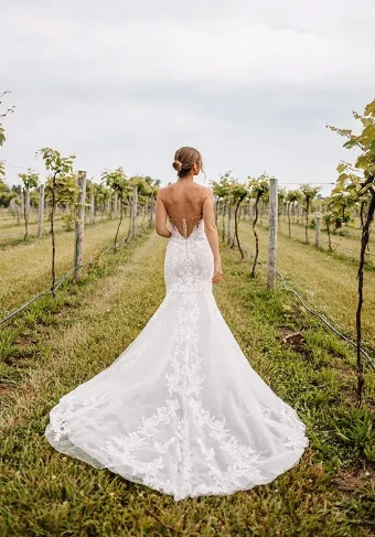 Essense of Australia Sale D3647 #6 Ivory/Ivory/Platinum thumbnail