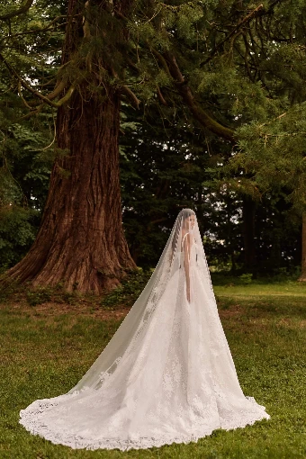 Milla Nova Elisora #2 thumbnail